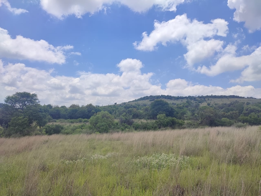 0 Bedroom Property for Sale in Swartruggens North West